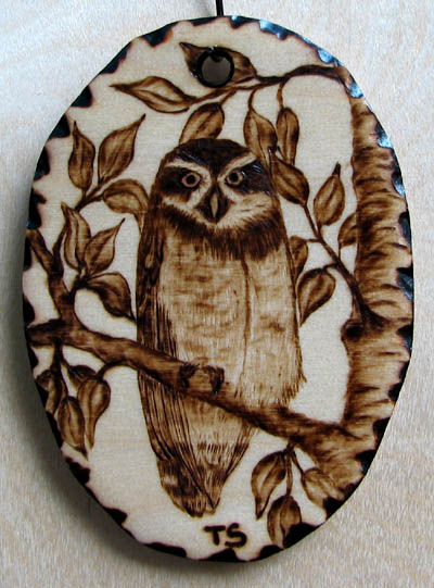 spectacled owl tanja sova pyrogaphy